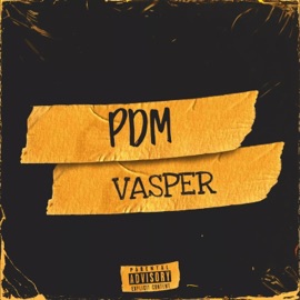 PDM Vasper