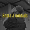 Senta à vontade (Part. Lucas Fig) [feat. Lucas Fig] - Single