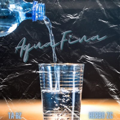 AquaFina - Single