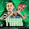 Descendo e Subindo - Single