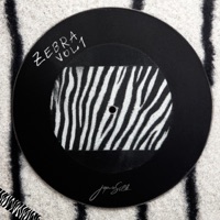 ZEBRA, Vol. 1 - EP - Jaymie Silk