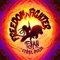 Freedom Fighter (feat. Steel Pulse) - F.Y.A.H. lyrics