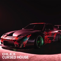 Cursed House - Single - DILEX