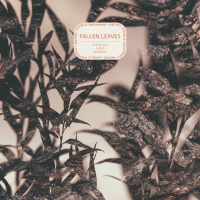 Fallen Leaves - Single