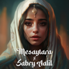 Mesaytara X Sabry Aalil (Mashup) - DJ Saquib & Lamis Sherine