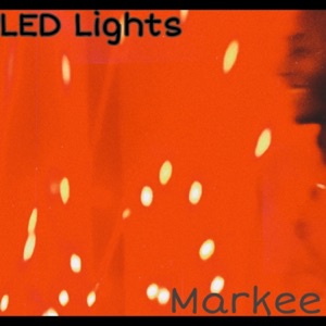 LED Lights - Single