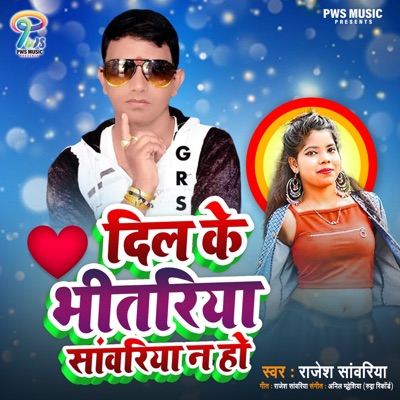 Dil Ke Bhitariya Sawariya Na Ho (feat. Aryanshi Nibhatra) - Single