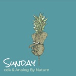 Cdk & Analog By Nature - Sunday