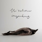 Vi Behöver Ingenting (feat. Anna Asp) artwork