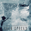 I Predict a Graceful Expulsion - Cold Specks