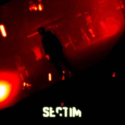 SEÇTİM - Single