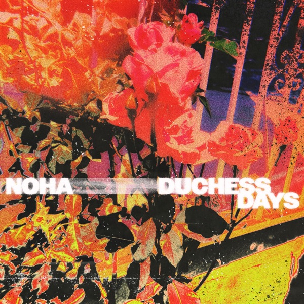 iTunes Artwork for 'Duchess Days (Single Mix) - Single (by NOHA)'