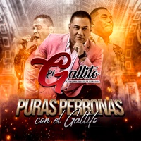 Puras Perronas Con El Gallito - El Gallito Y Los Originales De La Banda