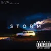 Stream & download Storm (feat. FPE RON2x & 101 Da Exclusive) - Single