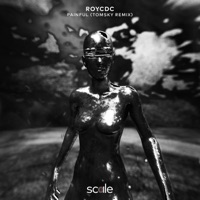 Painful (Tomsky Remix) - Single - Roycdc & Tomsky