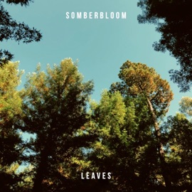 Leaves Somberbloom