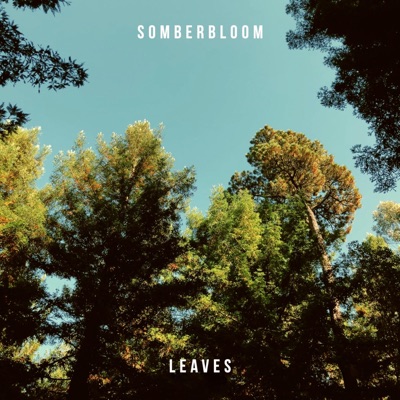 Leaves - Single