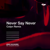 Armin van Buuren - Never Say Never (feat. Jacqueline Govaert) [Colyn Remix] artwork