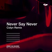 Never Say Never (feat. Jacqueline Govaert) [Colyn Remix] artwork
