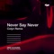 Never Say Never (feat. Jacqueline Govaert) [Colyn Remix] artwork