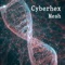 Mesh (feat. Miss Roses) - Cyberhex lyrics