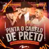 Pedro Sanchez e Thiago - Pinta o Cabelo de Preto (feat. Luan Pereira) [Ao Vivo]