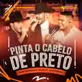 Pinta o Cabelo de Preto (Ao Vivo)
