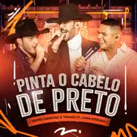 PINTA O CABELO DE PRETO