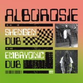 Shengen Dub / Embryonic Dub artwork