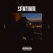 Sentinel - Scuzi lyrics