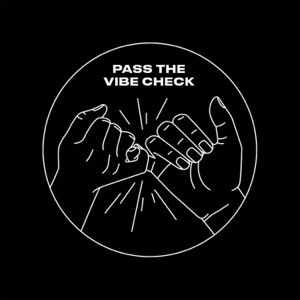 Pass the Vibe Check - Single