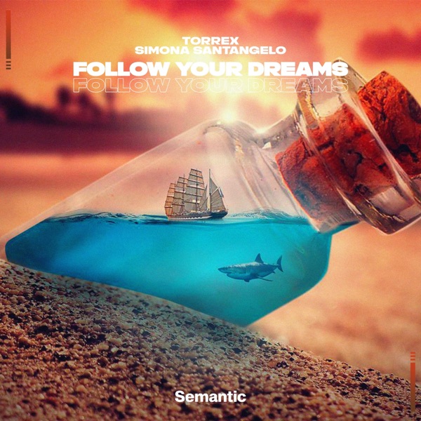 Follow Your Dreams - Single