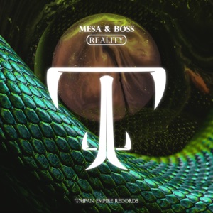 Reality - Single