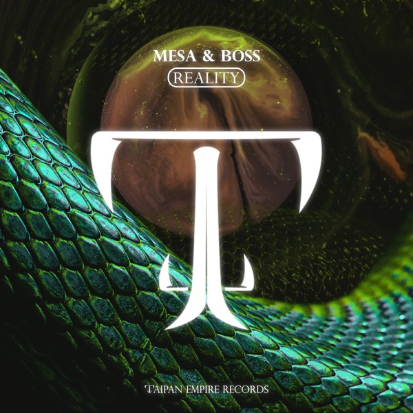 Reality - Single