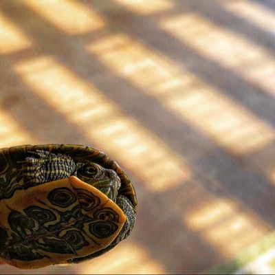 Between It All - Single