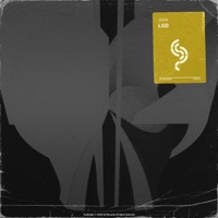 LSD - Single - Jora