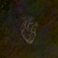 Доверься сердцу - Single - Димон Проуш