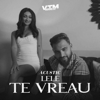 Te vreau (Acustic) - Lele & Manele VTM