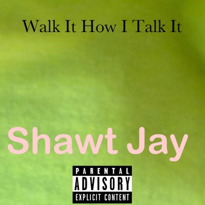 Walk It How I Talk It Flow - Single