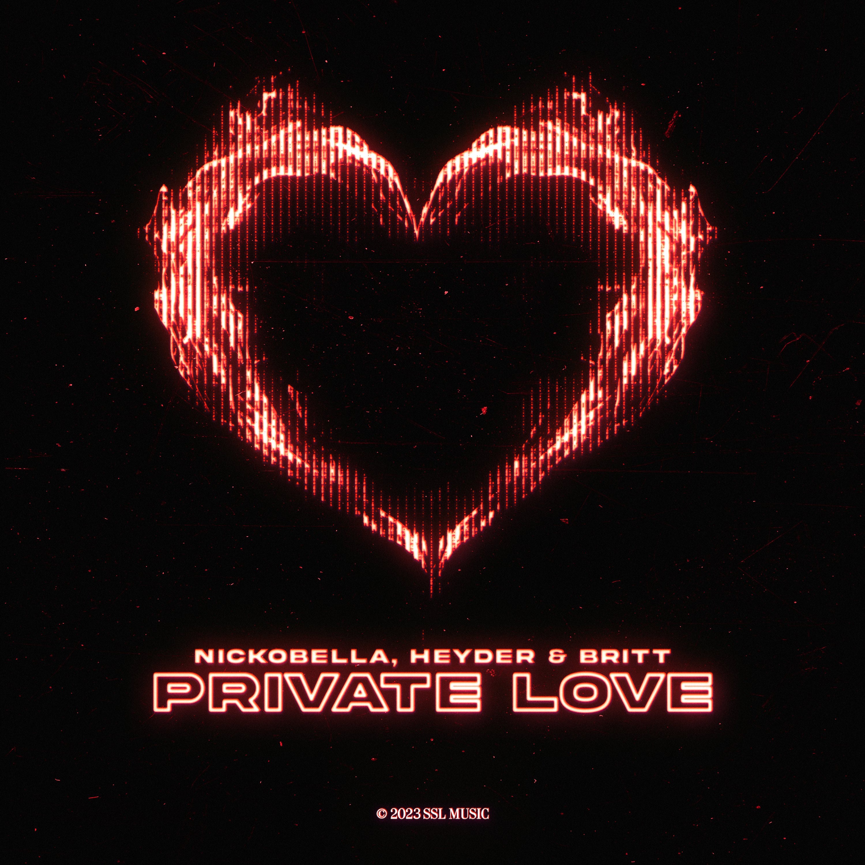 Private Love - Single