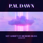 P.M. Dawn - Set Adrift on Memory Bliss