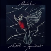 Libertad (feat. Jorge Drexler) artwork