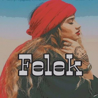Roz music - Kurdish Tırap _Felek