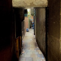 DESPEGANDO - Single - DD Divoc