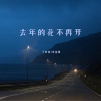 去年的花不再开 - Single - 王忻辰 & Xingjie Su