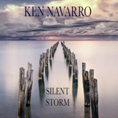 Silent Storm (Special Radio Mix) artwork