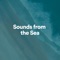 Brisk - Sea Waves Sounds lyrics