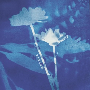 Bleach (Revisited) - Single