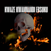 Kwaze Kwamnandi Ebusuku (feat. Thanda Tee) [Special Version] - Amapiano Trending Vibes
