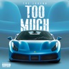 Too Much - Single